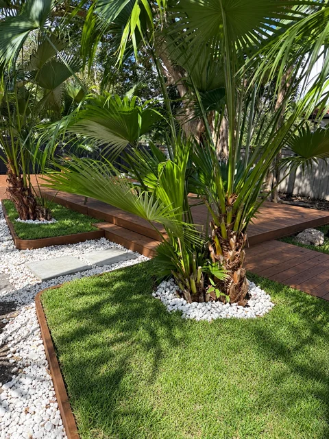 Wood decking around palm trees and a lawn garden bed