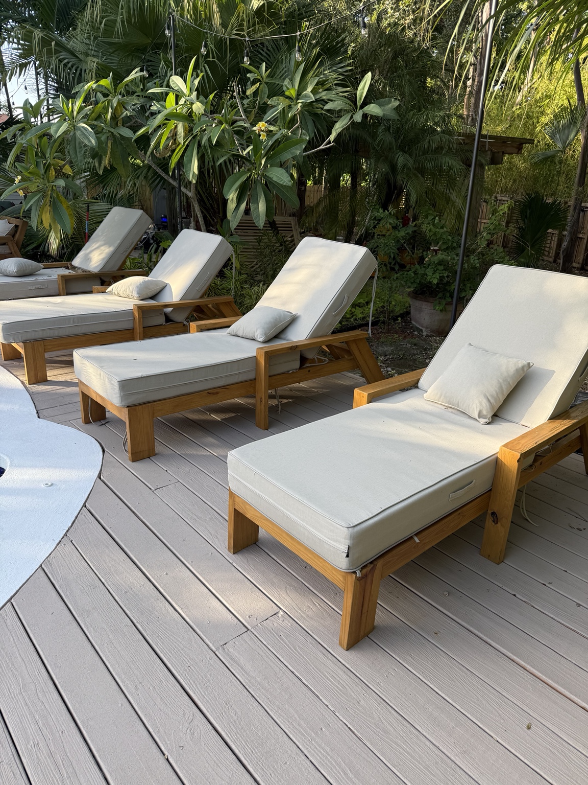 Sol loungers on a tropical poolside deck