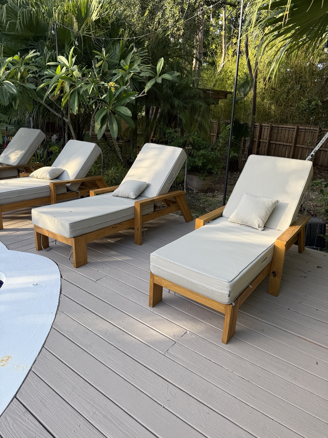 Sol loungers in the afternoon light